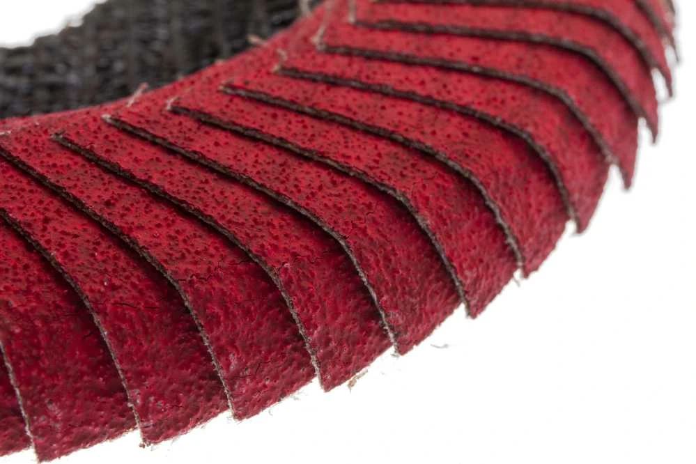 Forte_Tools Žiedlapinis šlifavimo diskas Forte tools, 125x22.23 mm