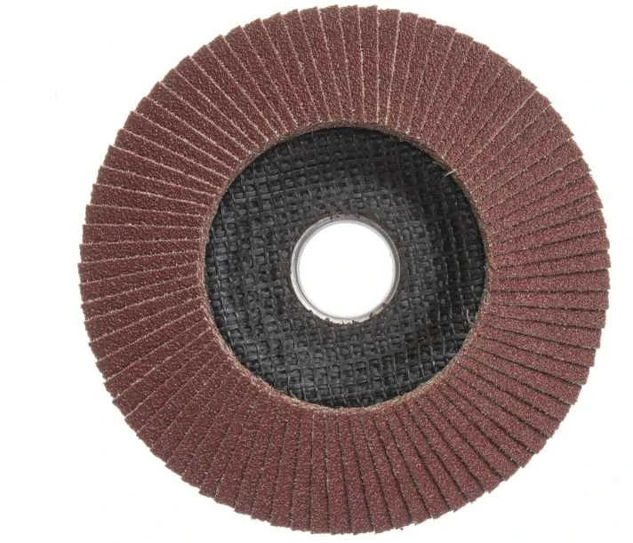 Forte_Tools Žiedlapinis šlifavimo diskas Forte tools, 125x22.23 mm