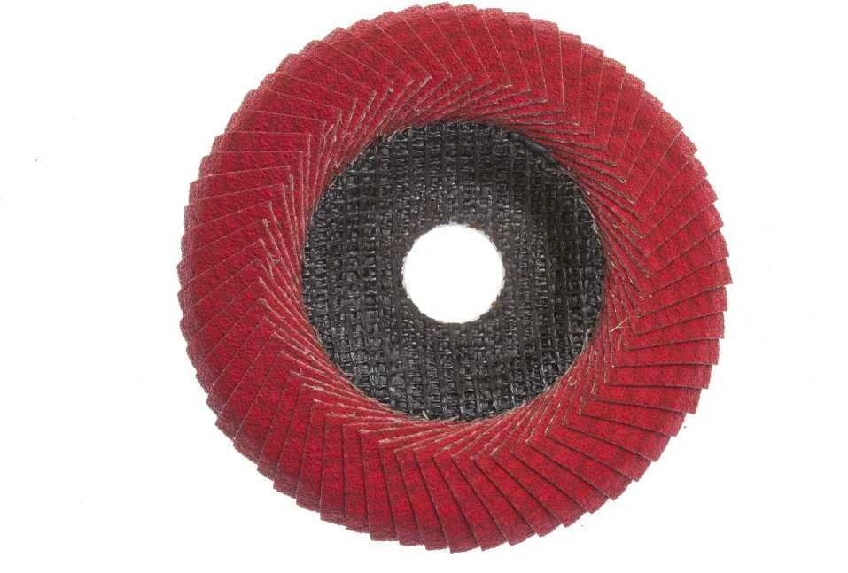 Forte_Tools Žiedlapinis šlifavimo diskas Forte tools, 125x22.23 mm