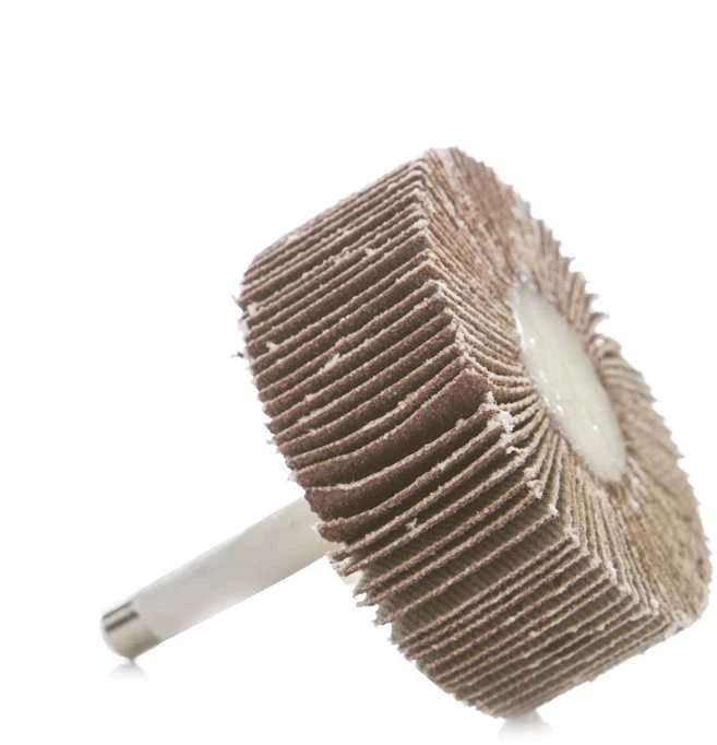 Šlifavimo skriemulys HAUSHALT, Nr. 100, 50×20×6 mm