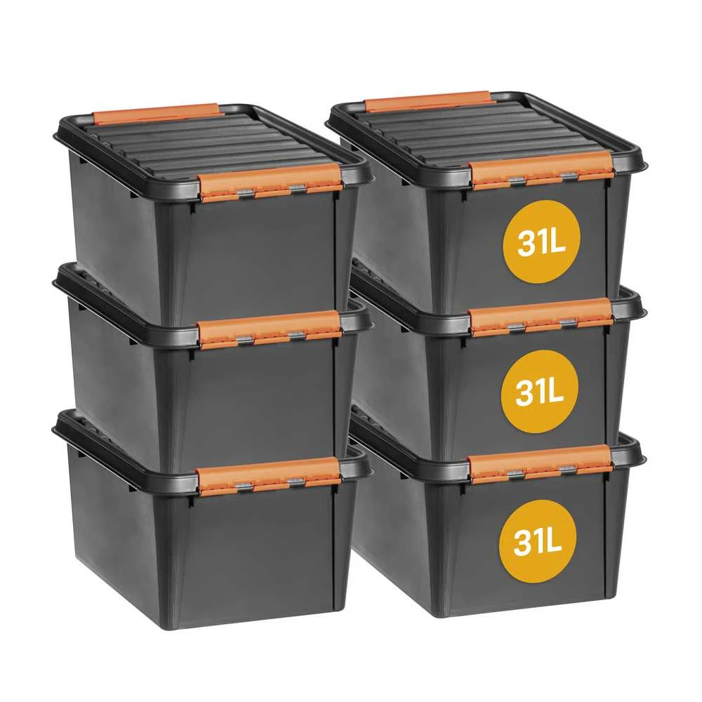 SMARTSTORE Dėžė sandėliavimo Pro 31l