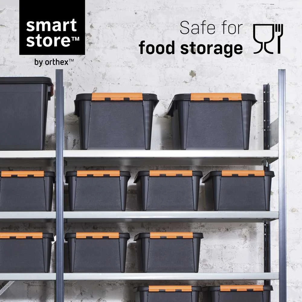 SMARTSTORE Dėžė sandėliavimo Pro 31l