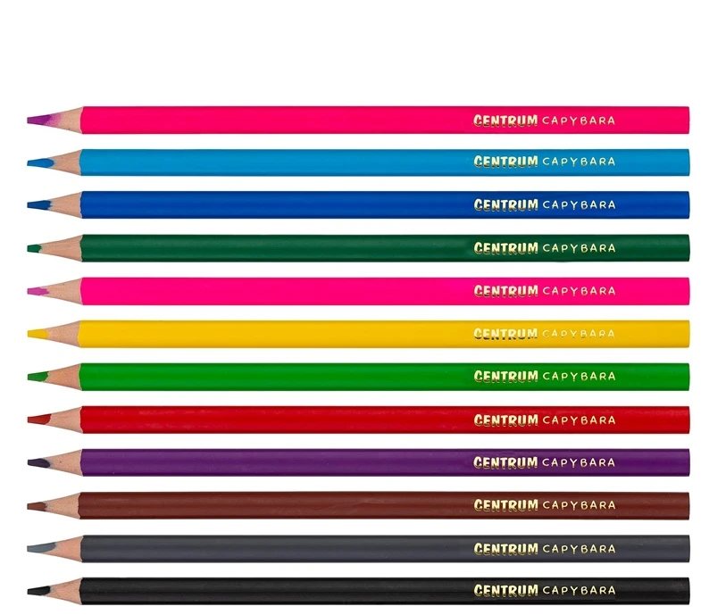 Centrum COLOUR PENCILS PLASTIC 12COL CAPYBARA