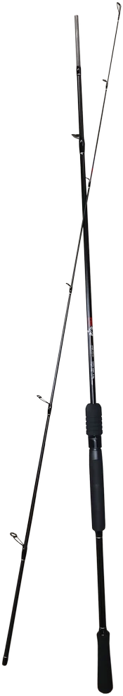 Spiningas 210cm Pro Catch