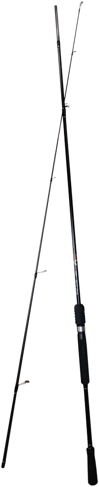 Spiningas 240 cm "Pro Catch"
