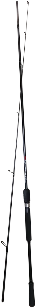 Spiningas 240 cm "Pro Catch"