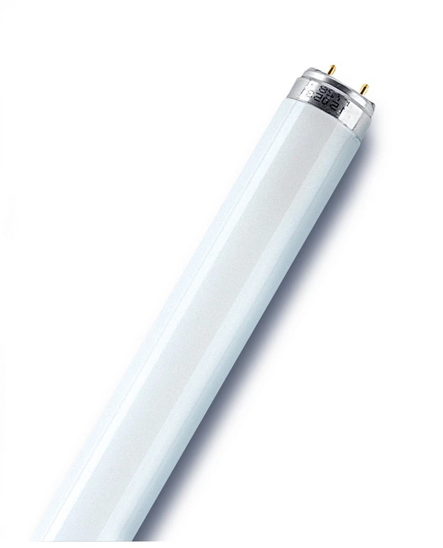 Osram 36W lempa LUMILUX T8, G13, 3000K, 1213,6mm