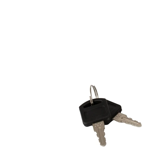 Haushalt Bosch LOCK FURNIT YS139 19X22 MM CHROM