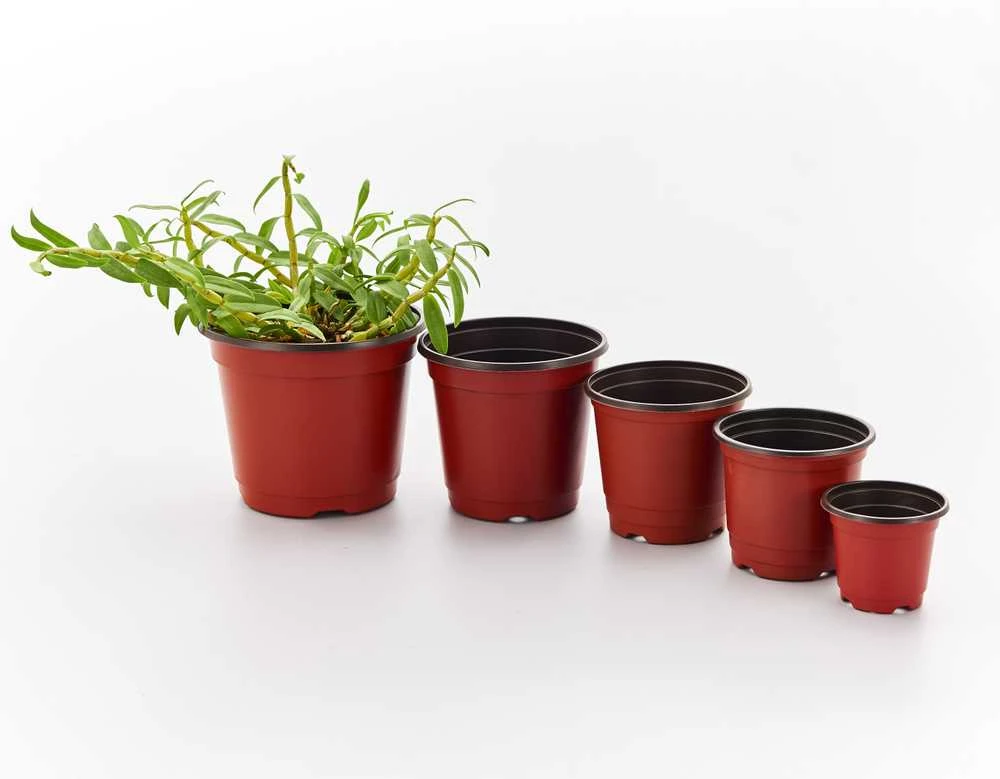 Garden_Cente Vazonas Garden Center BN130, plastikinis, Ø 13 cm, rudas