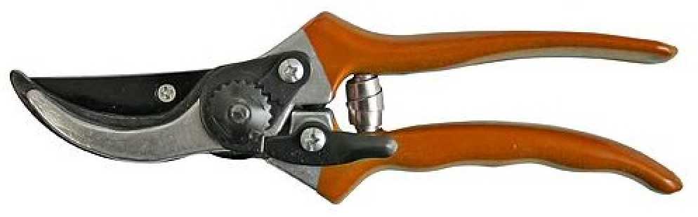STRENDPRO Strend Pro P0807 sodo žirklės vynuogėms ir šakoms 200 mm