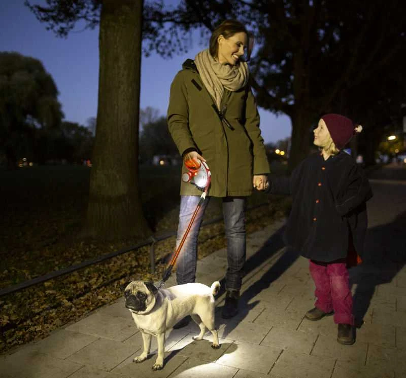 Flexi LED Lighting System žibintuvėlis tinkantis S, M ir L pavadėliams