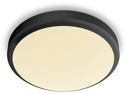 Šviestuvas lubų Philips Doris 929002665101, LED, 2700 °K, 1 x 17 W