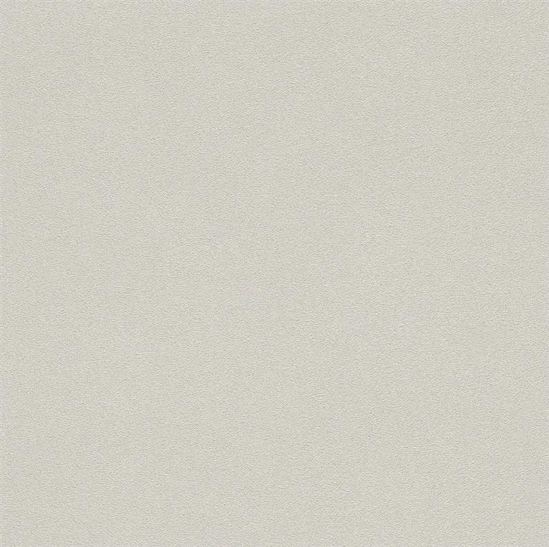 Tapetai Rasch 479430, viniliniai, pilki