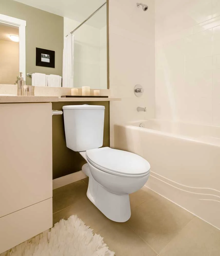 Miska WC Domoletti STAND WC RIMLESS PO221-P