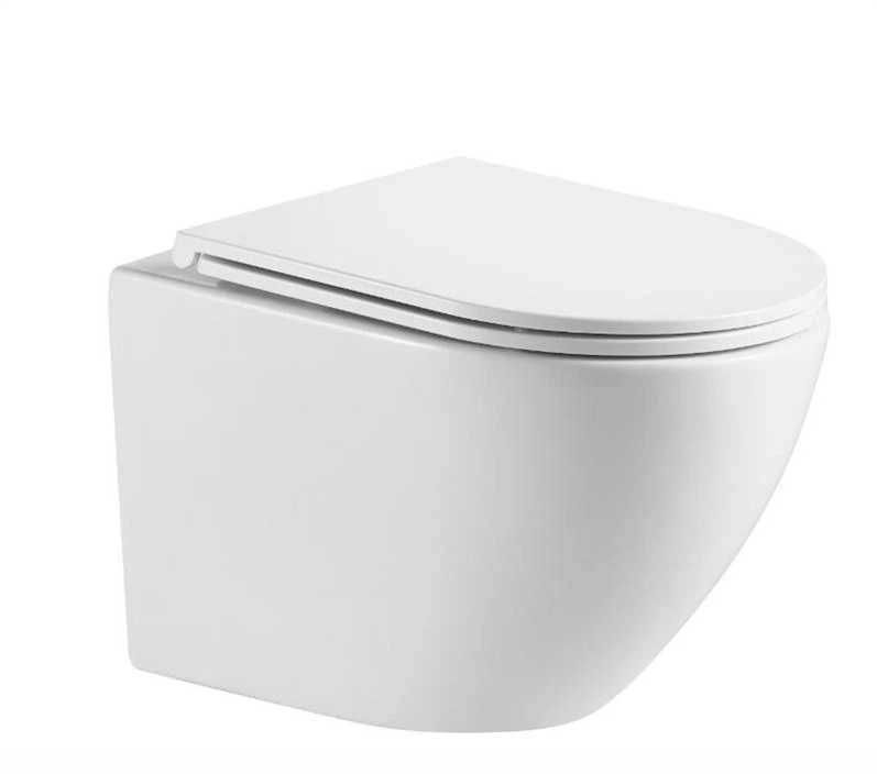 Pakabinamasis unitazas su dangčiu DOMOLETTI. 360×500 mm