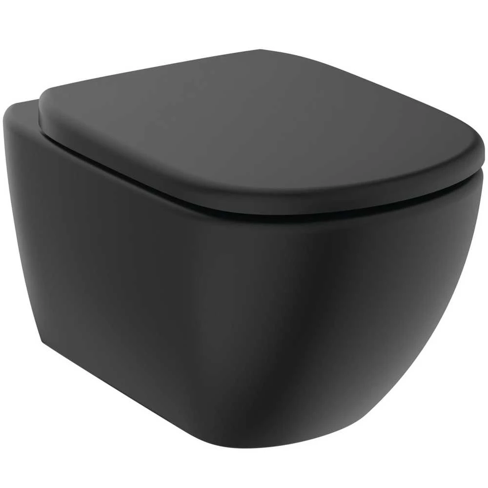 Ideal_Standa Unitazas, pakab Ideal Standard Tesi, su dangč, 365×533 mm