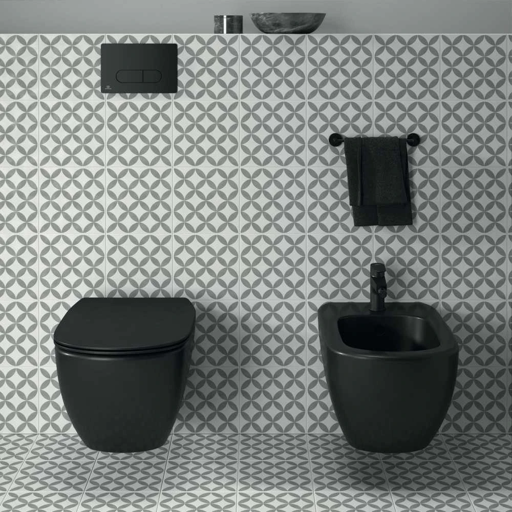Ideal_Standa Unitazas, pakab Ideal Standard Tesi, su dangč, 365×533 mm