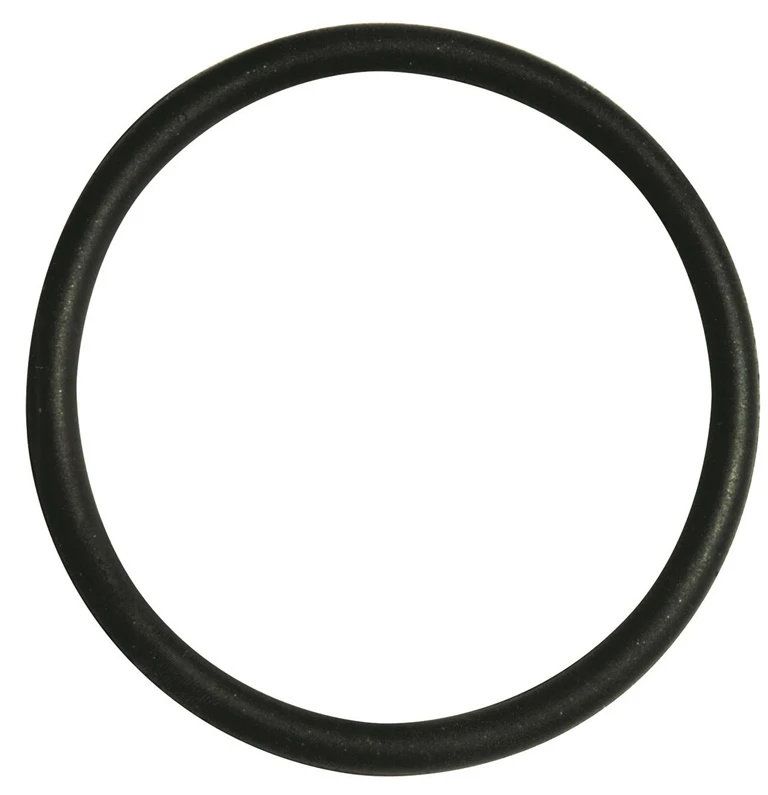 Guminė tarpinė Perla, Ø 20 mm 10 vnt.