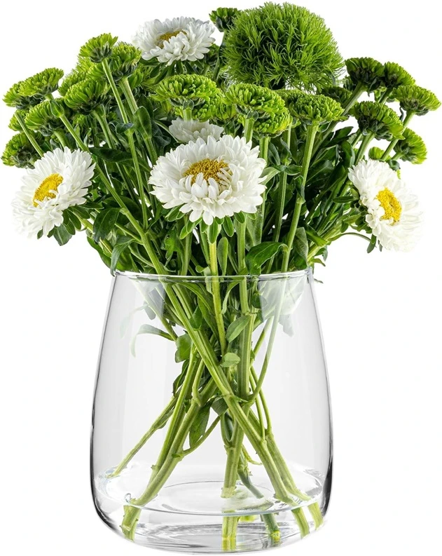Vaza Domoletti MUKM252143. 18 cm. skaidri