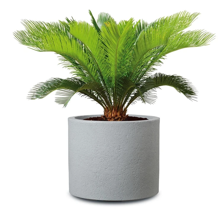 Scheurich Lumarko FLOWERPOT PLASTIC 130/50 STONY Pilkas D50