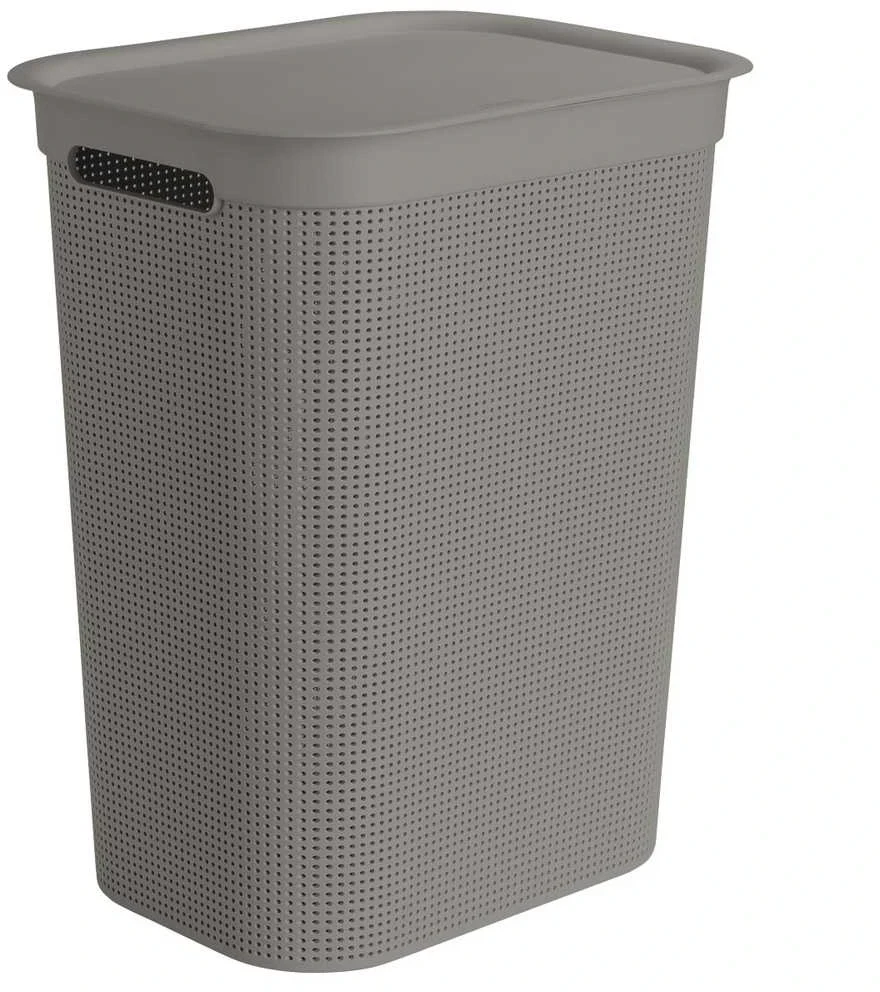 rotho Skalbinių dėžė BRISEN, 50 l, kapučino spalvos