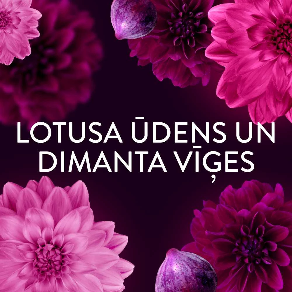 LENOR Audinių minkštiklis "Diamond Figs & Lotus Flower" 2x987 ml (94 skalbimai)