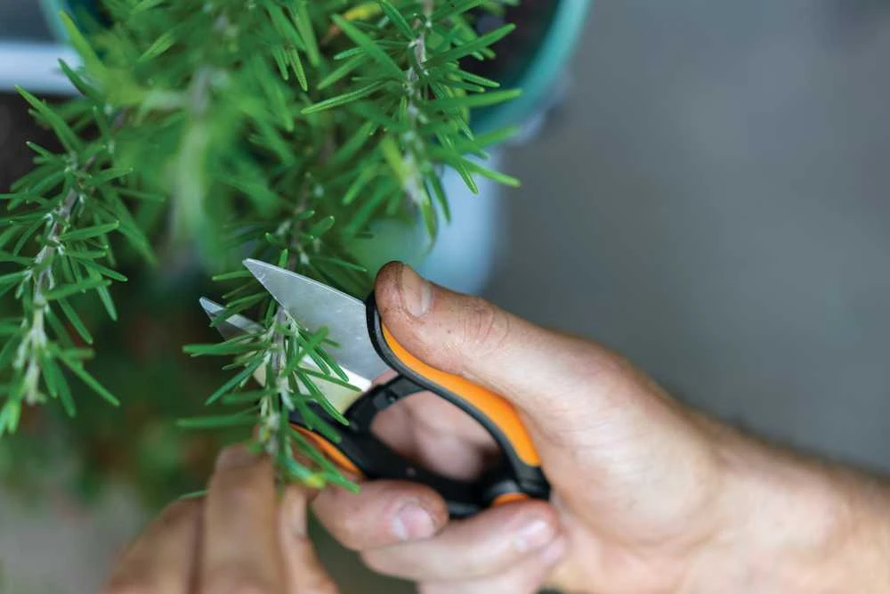 Fiskars Solid™ Žolelių kirpiklis (SP220) (1063326)
