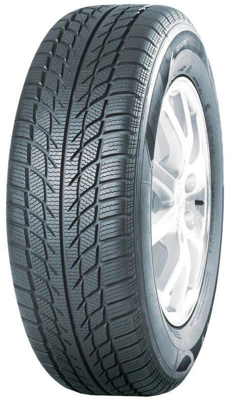 Westlake Ziemas riepa West Lake SW608 205/55/R16