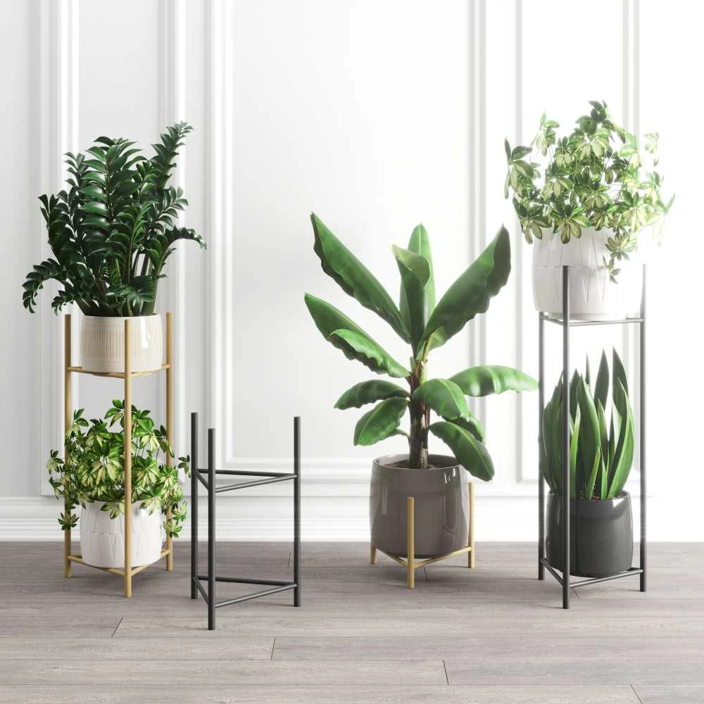 Domoletti FLOWER POT STAND LIZIO L Juodas 27X60