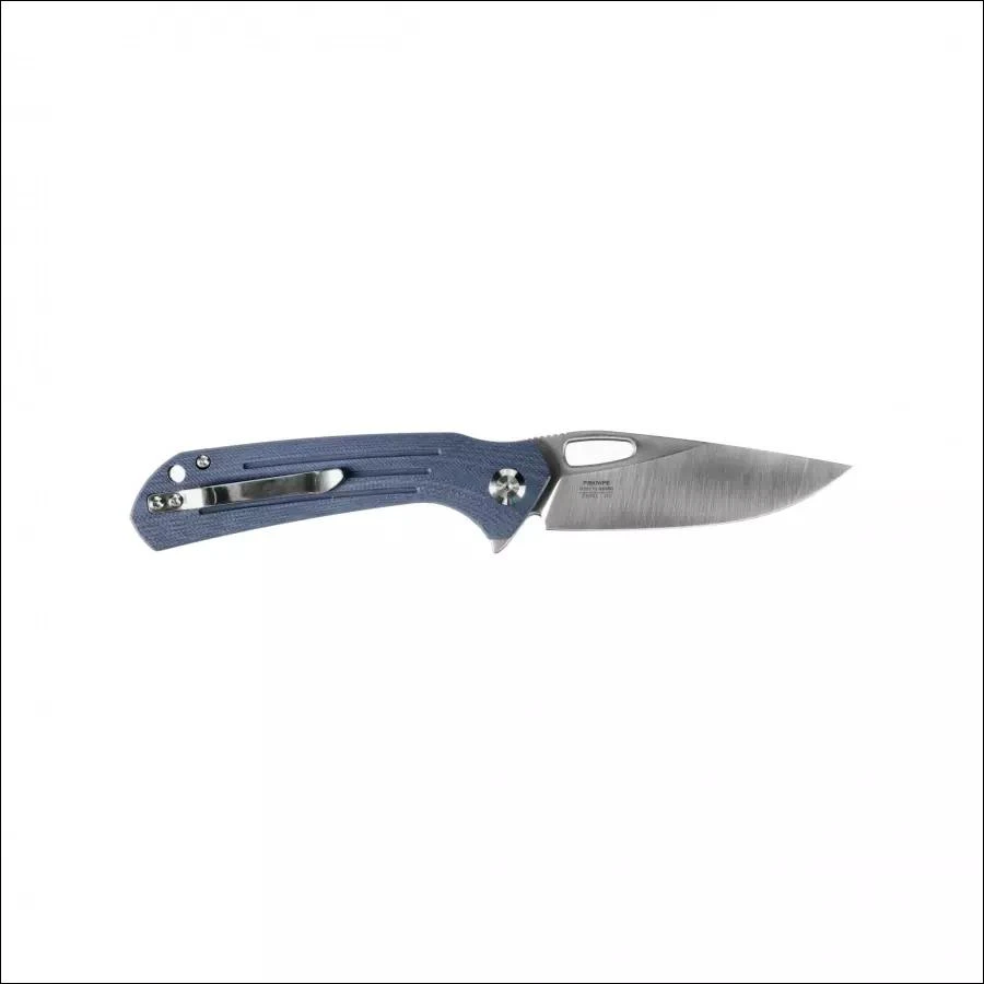 Sudedamas peilis Ganzo Firebird FH921-GY