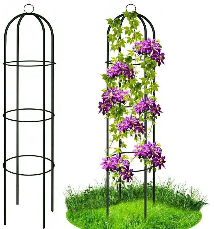 Planta Gotel Koloninė sodo pergolė gėlėms
