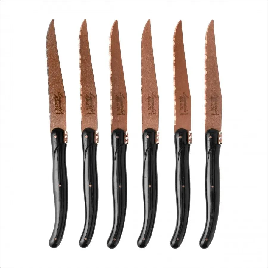 Steiko peiliai LAGUIOLE Prestige Line by STYLE DE VIE, 6 vnt., vario spalvos