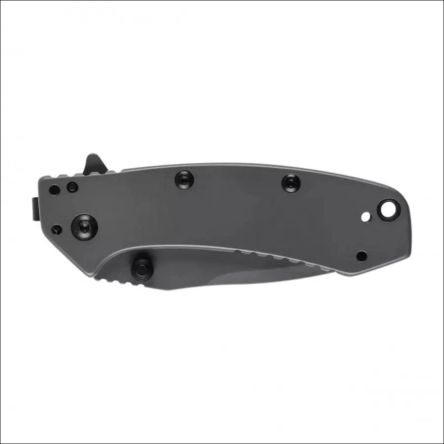 Peilis Kershaw Cryo 1555TI