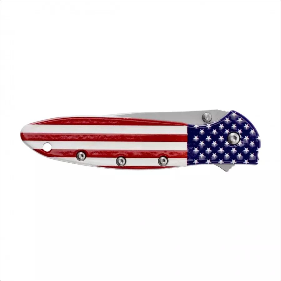 Peilis Kershaw Leek 1660USA