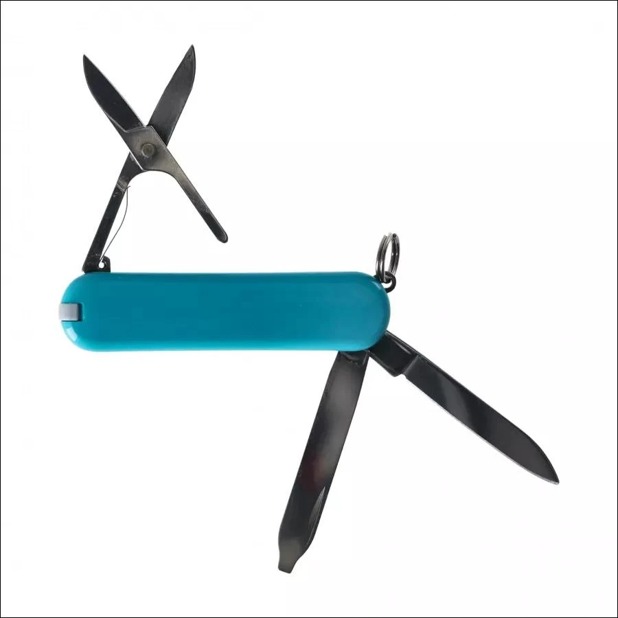 Šveicarija Victorinox Classic SD kalnų ežeras su dovanų dėžute