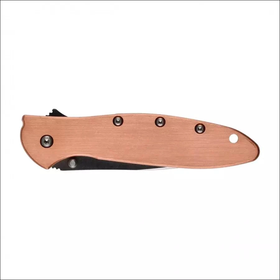 Sulankstomas peilis Kershaw Leek 1660CU