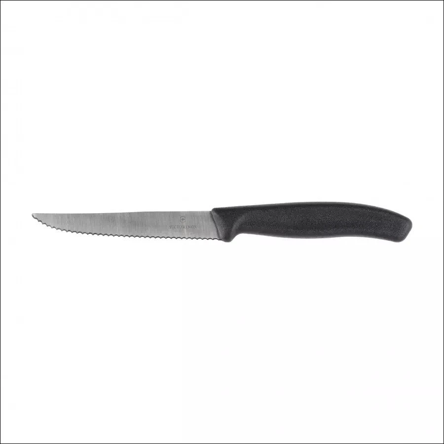 Victorinox Swiss Classic peilis 6.7233