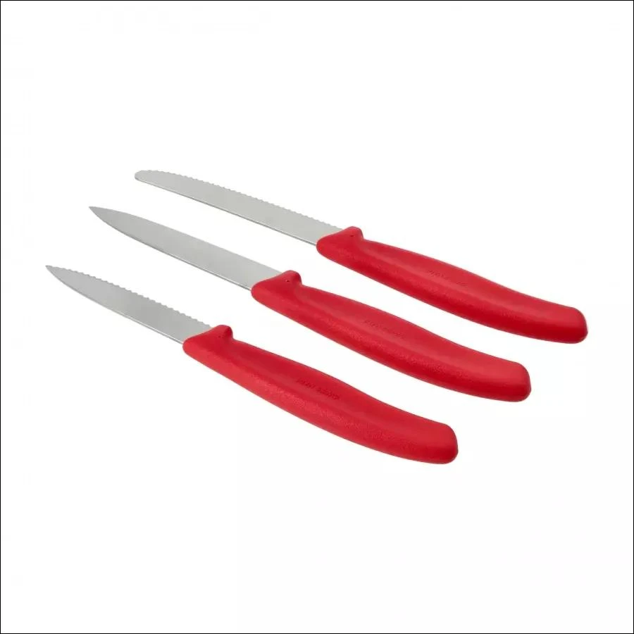 Victorinox Swiss Classic virtuvinių peilių rinkinys 3 dalių