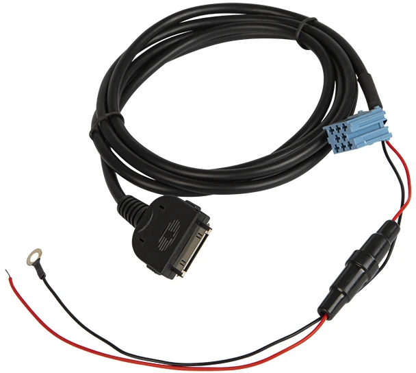 Blow Oem Automobilio AUX įvestis skirta iPod-Blaupunkt