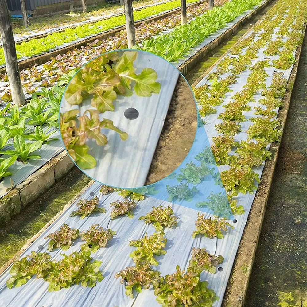 20 x kaiščių, inkarų, kaiščių agrotekstilei, tvirtai agrotekstilei, 50 vnt., 15 cm