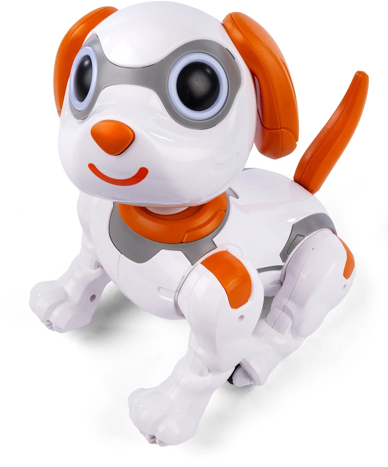 2003-2-6 3-2-6 - Robotas šuo (63426)