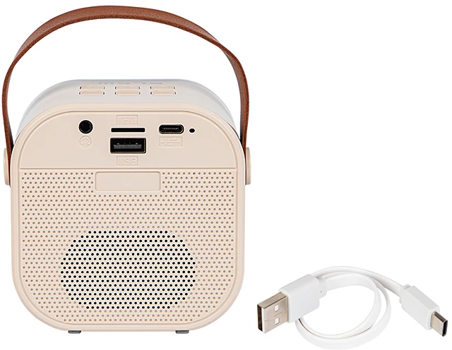 Blow KARAOKE RGB Bluetooth garsiakalbis su 1 mikrofonu