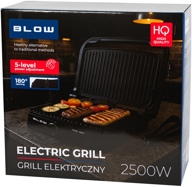 Elektrinė kepsninė BLOW 2500W MasterGrill DUO