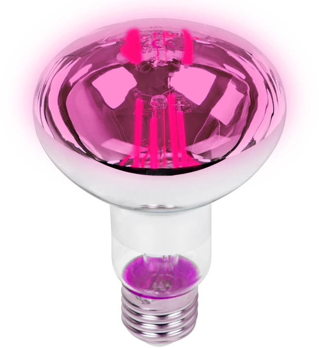 Blow E27 A60 LED 9W R80 lemputė augalų auginimui