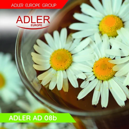 Adler | Virdulys | AD 08 b | Standard | 850 W | 1 L | Plastic | 360° rotational base | rusvai gelsvas