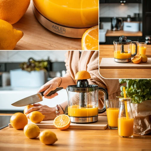 Sulčiaspaudė Adler | Citrus Juicer | AD 4012 | Type Citrus juicer | Juodas | 40 W | Greičių skaičius 1