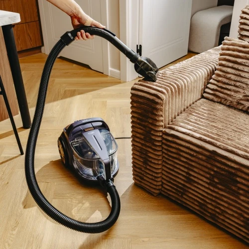 „Adler Cyclone“ dulkių siurblys | AD 7076 | Be maišelio | Galia 3000 W | Dulkių talpa 3,5 l | Violetinis