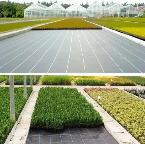 Agrotekstilė LEAN 100 cm x 50 m UV 70 g/m² juoda