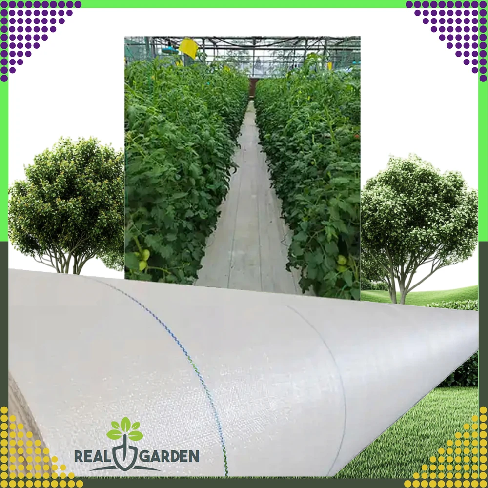 Agrowłóknina Agrotekstilė 70 g 1,6 x 100 m balta UV agrotekstilės kilimėlis nuo piktžolių + inkarai