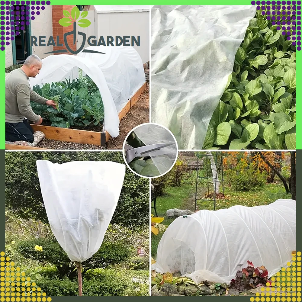 Agrowłóknina Žieminė agrotekstilės danga 50x1,6 m 70 g balta apsauginė danga